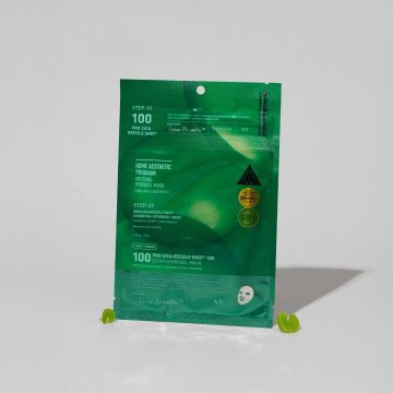 VT Cosmetics Pro Cica Reedle Shot 100 2-Schritte-Hydrogel-Maske 33g